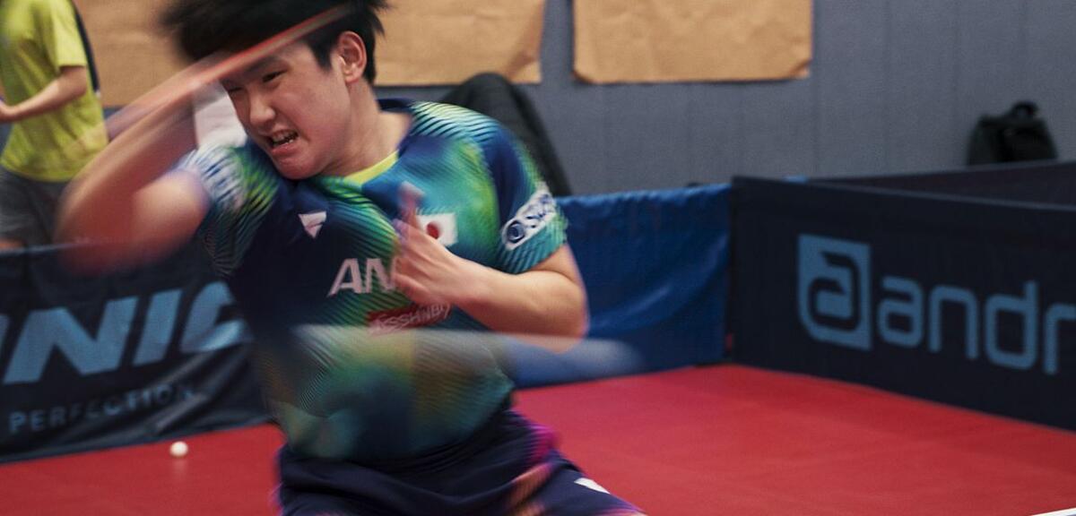 Ping Pong Paradise - Trailer (Deutsche UT) HD