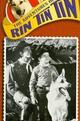 Rin-Tin-Tin