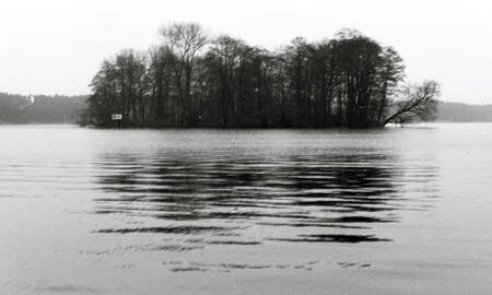 Galerie Foto