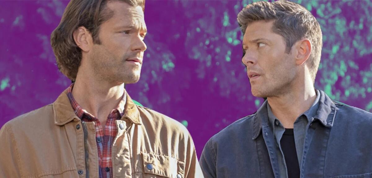 Jared-Padalecki-und-Jensen-Ackles-hassten-diese-Supernatural-Folge-Sie-wurden-von-Dutzenden-Bienen-gestochen