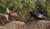 Hintergrund