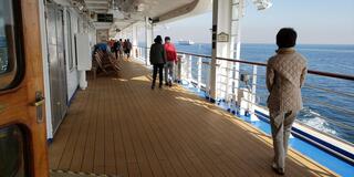 The Last Cruise