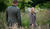 Hintergrund