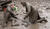 Hintergrund