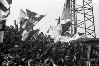 Stasi FC