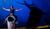 Hintergrund