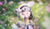 Hintergrund