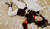Hintergrund