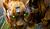 Hintergrund