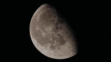 Foto im Vollbild