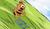 Hintergrund
