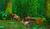 Hintergrund