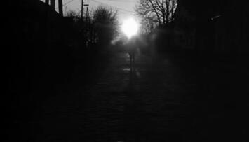 Foto im Vollbild