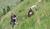 Hintergrund
