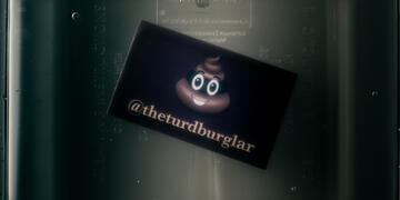 Foto im Vollbild