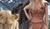 Hintergrund