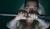 Hintergrund