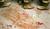 Hintergrund