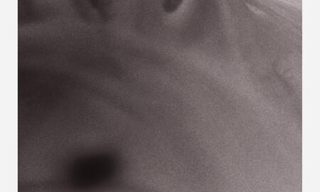 Galerie Foto