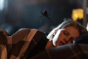 Foto im Vollbild