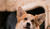 Hintergrund