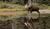 Hintergrund