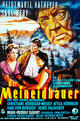 Der Meineidbauer