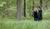 Hintergrund
