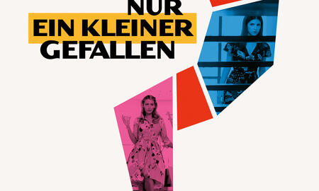 Galerie Foto