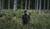 Hintergrund