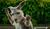 Hintergrund