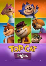 Top Cat Begins