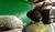 Hintergrund