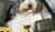 Hintergrund