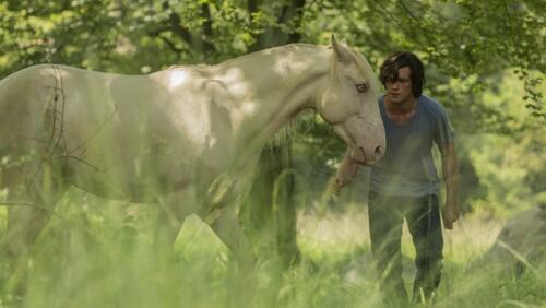 Ostwind 2 Rückkehr Nach Kaltenbach Ganzer Film Ostwind 2 - Rückkehr nach Kaltenbach | Film 2015 | Moviepilot