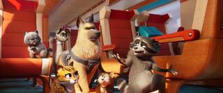 Pets on A Train