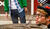 Hintergrund