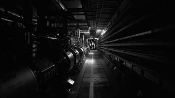 Foto im Vollbild
