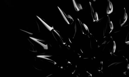 Galerie Foto