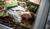 Hintergrund