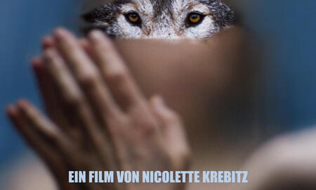 Galerie Foto
