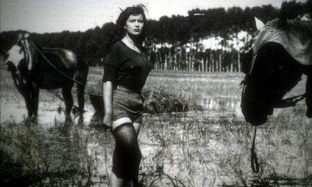 Galerie Foto