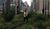 Hintergrund