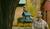 Hintergrund