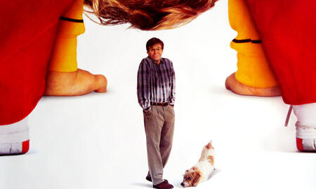 Galerie Foto