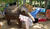 Hintergrund