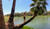 Hintergrund