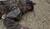 Hintergrund