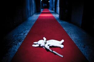 Foto im Vollbild