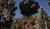 Hintergrund